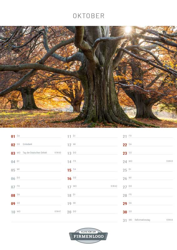 Werbe-Kalender Bäume, DIN A4