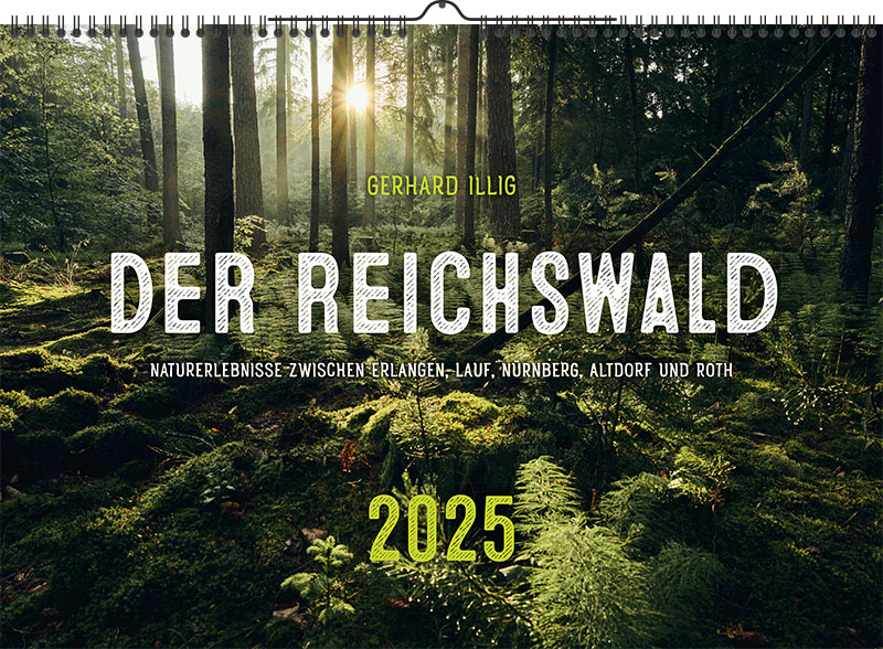 Der Reichswald 2025