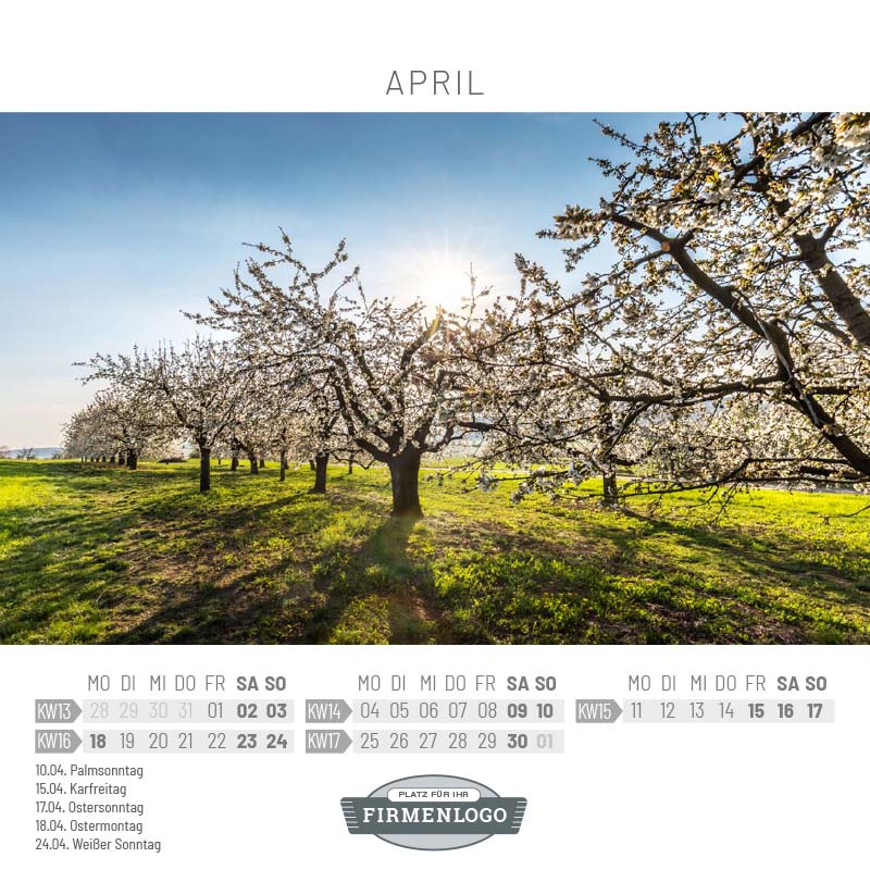 Werbe-Kalender Bäume 2022, 148 x 148 mm
